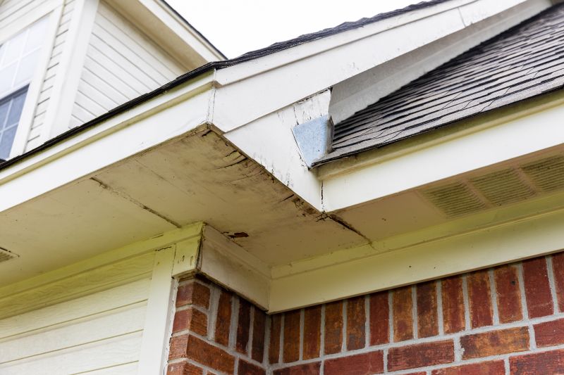 Fascia Repair Process